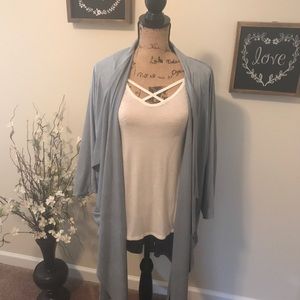 Ahn & Ahn  Blue Duster